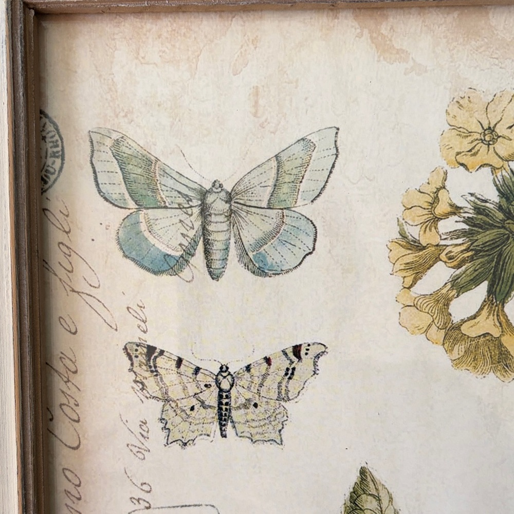Botanical Print with Butterflies in Wooden Frame - Picture 2 of 6